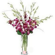 Bunch of 10 Purple Orchids in Vase