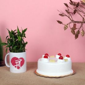 Cake and Lucky Bamboo in a Mug