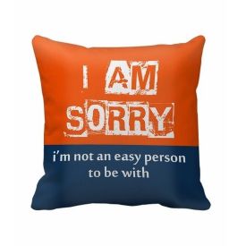 Sorry Cushion with filler