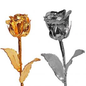 6 Inch Golden Rose and 6 Inch Silver Rose