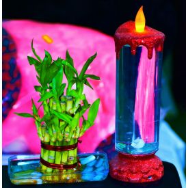 Candle N Bamboo Plant