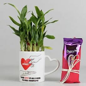 Lucky Bamboo Plant with Dairy Milk Silk