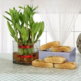 Lucky Bamboo with Milk Cake