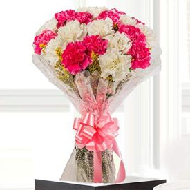 Pink and white Carnations Bunch