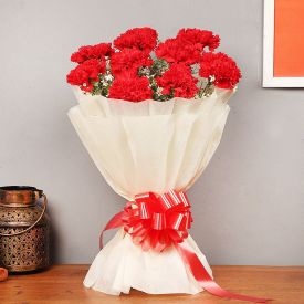 Glorious Red Carnations Bouquet