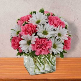 Affected Gerberas with Carnations