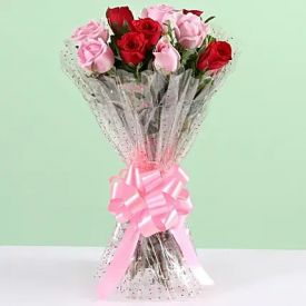 Bunch of 12 Red N Pink Roses