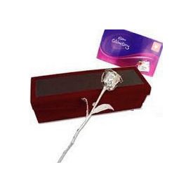 6 Inch Silver Rose with Cadbury Celebration Pack