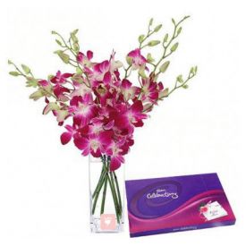 Orchids and celebration Pack