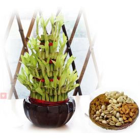 Basket of 1 Kg mixed dry fruits with bamboos