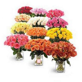 Different colour of bunches of Roses