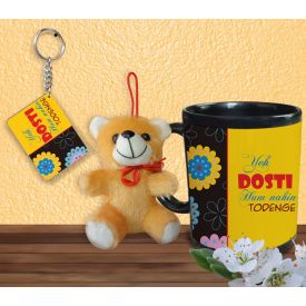 Friends ship mug, 6 inch- teddy bear and key chain