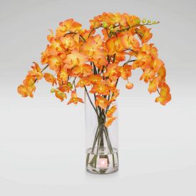 15 orange orchids in vase