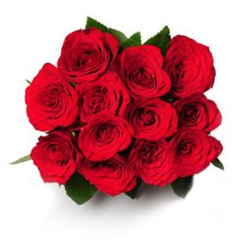 Bunch of 12 red roses
