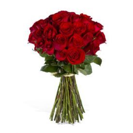 Bunch of 24 luxury red roses,