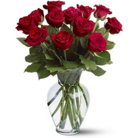 Bunch of 12 beautiful red roses