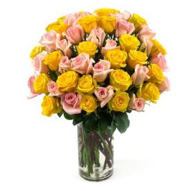 50 Light Pink Rose ,Yellow Rose with in vase