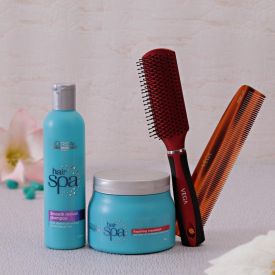 Vega Hair Brush With Comb And Loreal Professional Kit