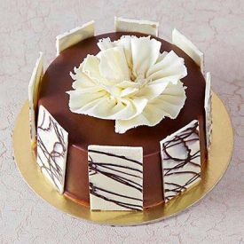 Chocolate Cake with White Chocolate Fence