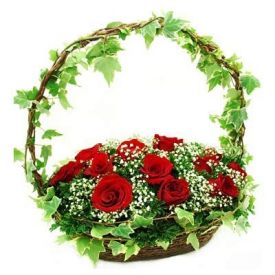 Red Roses with basket