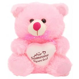 Pink Teddy Bear 18 Inch