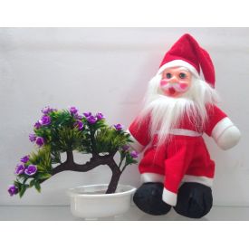 Santa Claus with Christmas artificial Plant
