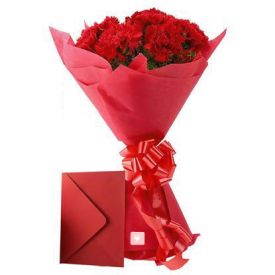 Carnations N Greeting Card