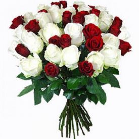 Bunch of 20 red and white roses