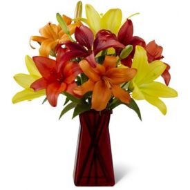 Mixed lilies in vase