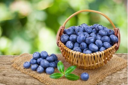 Basket of blue berry